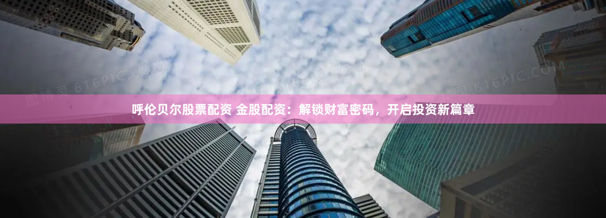 呼伦贝尔股票配资 金股配资：解锁财富密码，开启投资新篇章